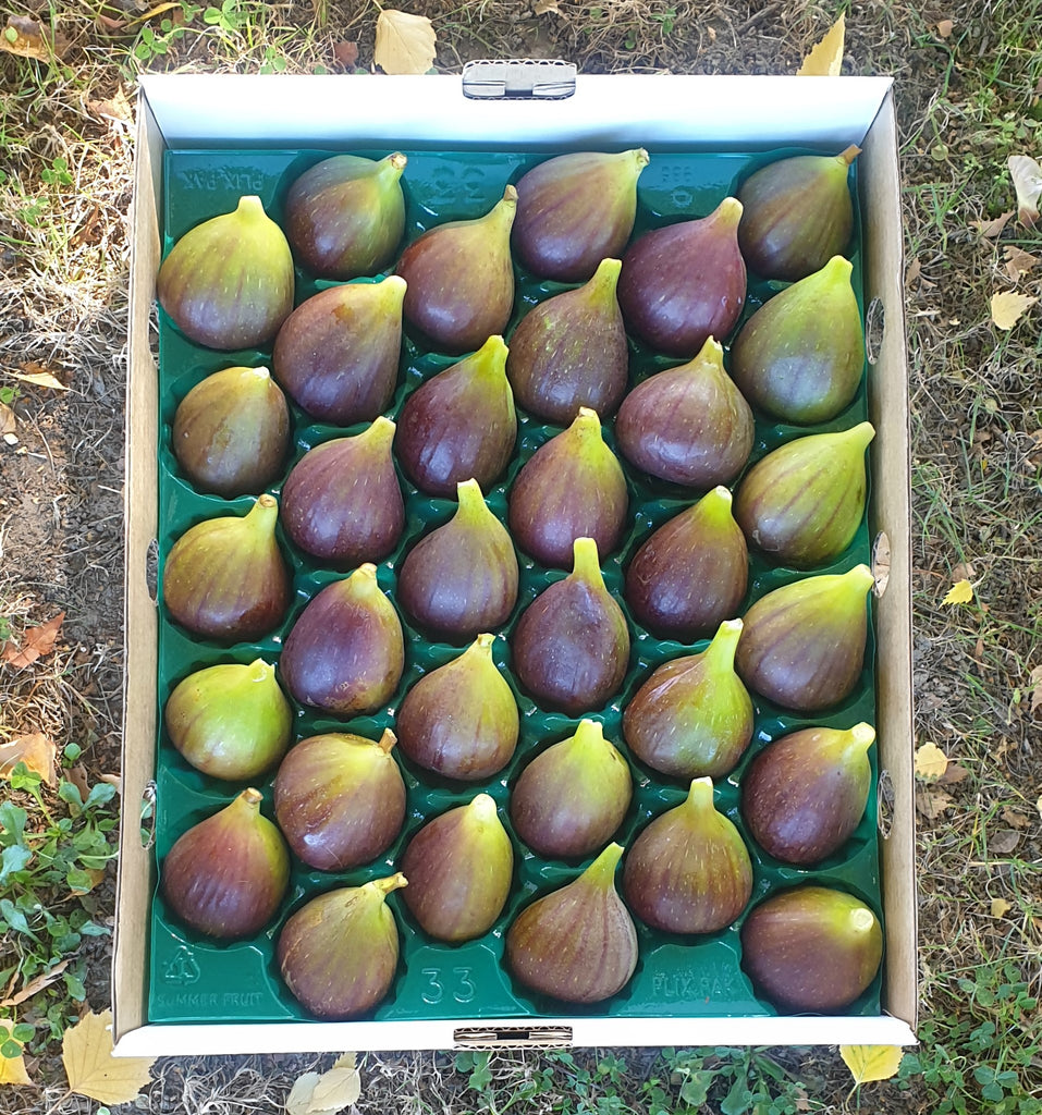 2023 Fresh Fig + Feijoa Online Orders are OPEN!!!!