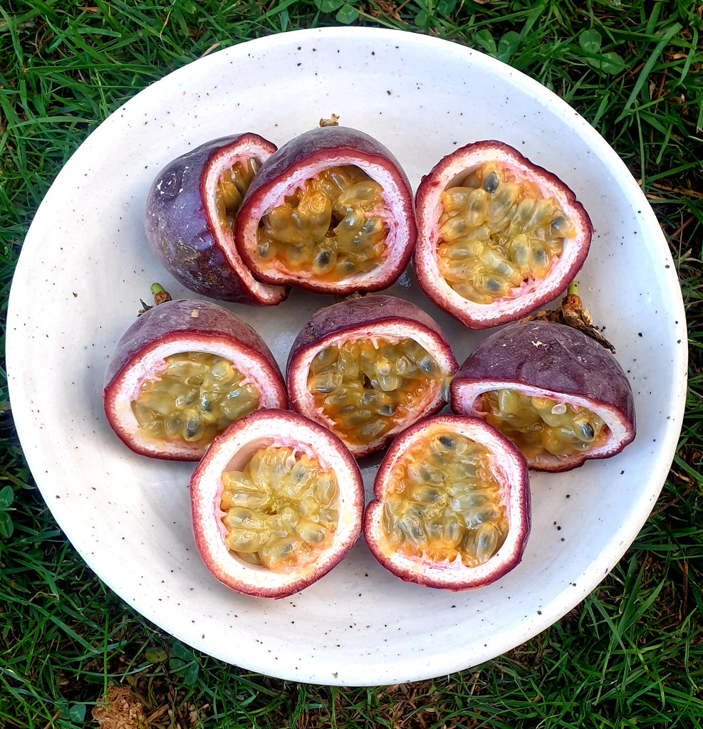 We have passionfruit trays available!